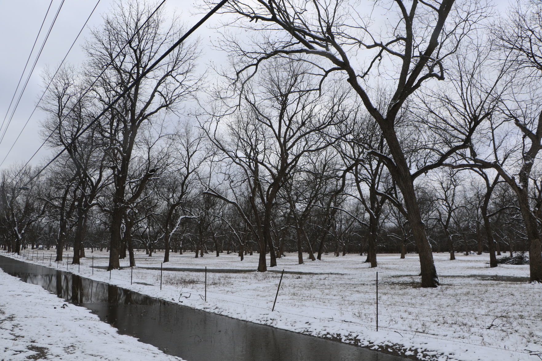 Snow day